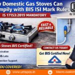 Domestic Gas Stoves
