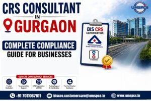 CRS Consultant in Gurgaon