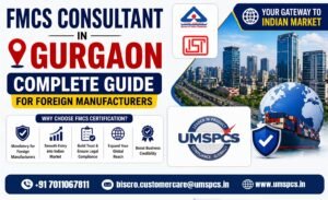 BIS consultant in Gurgaon