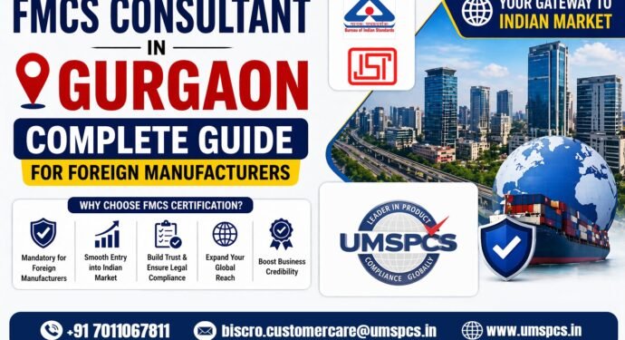 BIS consultant in Gurgaon