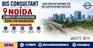 BIS Consultant in Noida