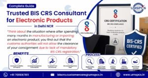 Trusted BIS CRS Consultant for Electronic Products in Delhi NCR